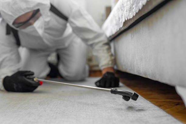 Professional Termite Control technician working in Mishawaka, IN