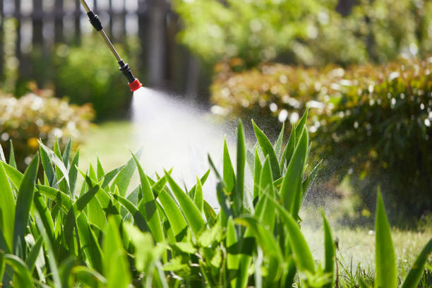 24/7 Emergency Termite Control experts in Mishawaka, IN